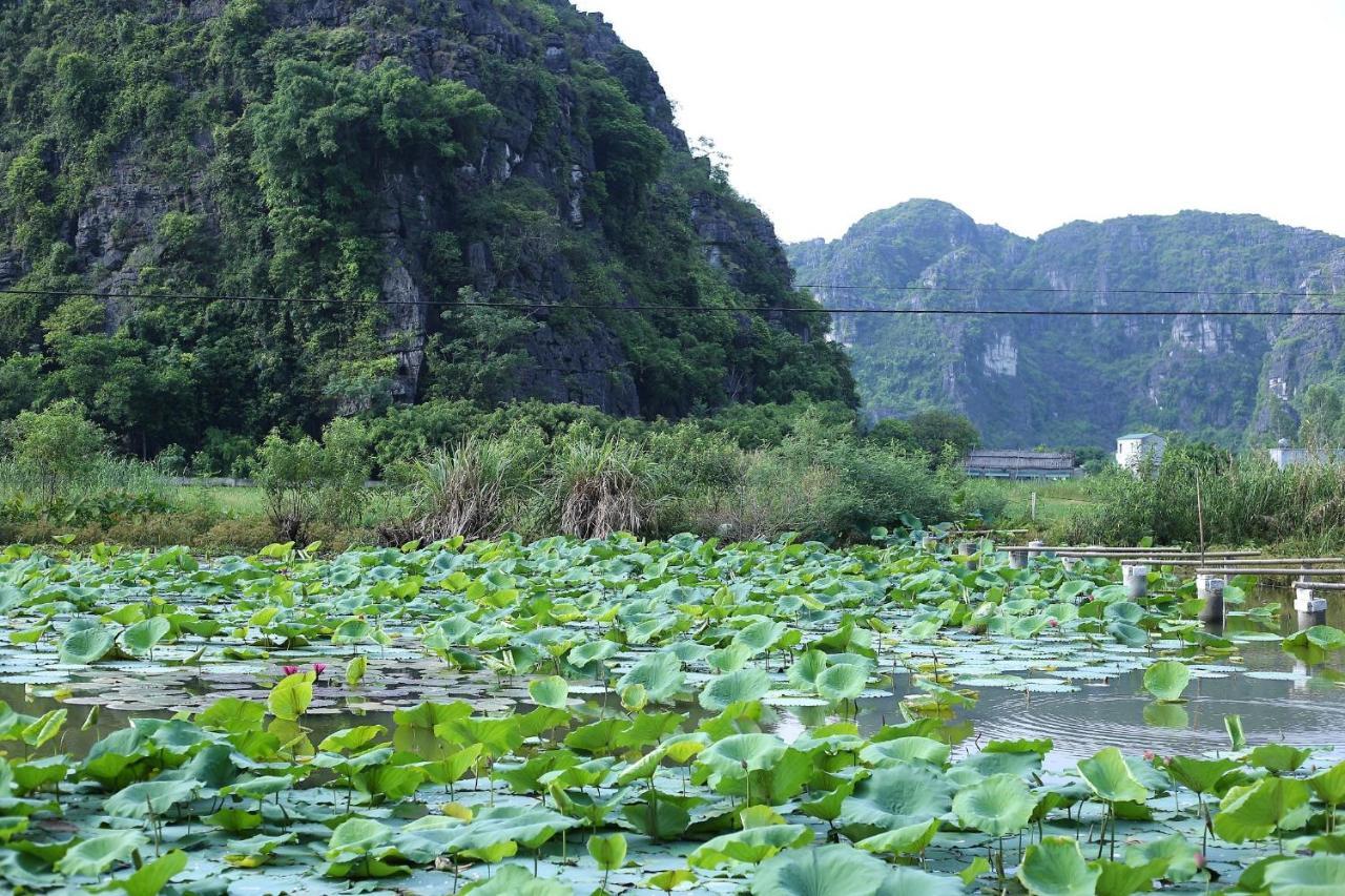 Ham Rong Homestay Ninh Binh Bagian luar foto