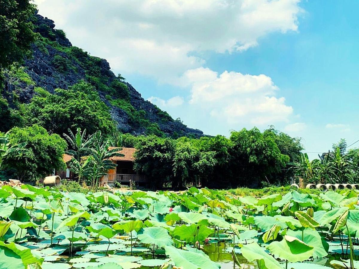 Ham Rong Homestay Ninh Binh Bagian luar foto