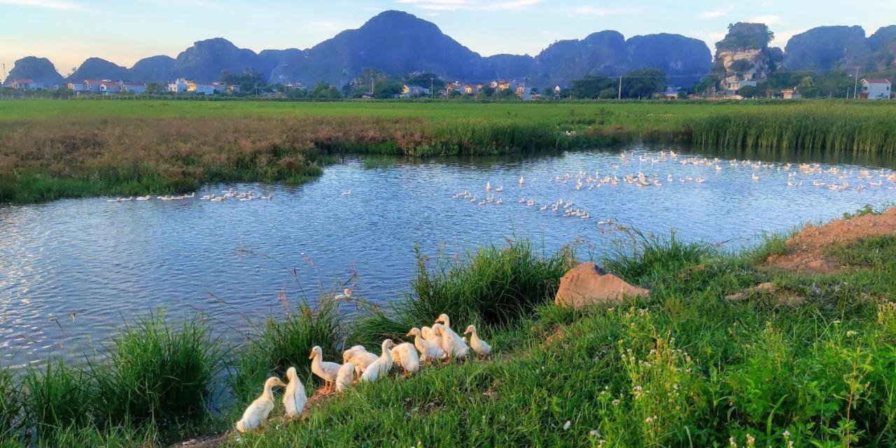 Ham Rong Homestay Ninh Binh Bagian luar foto