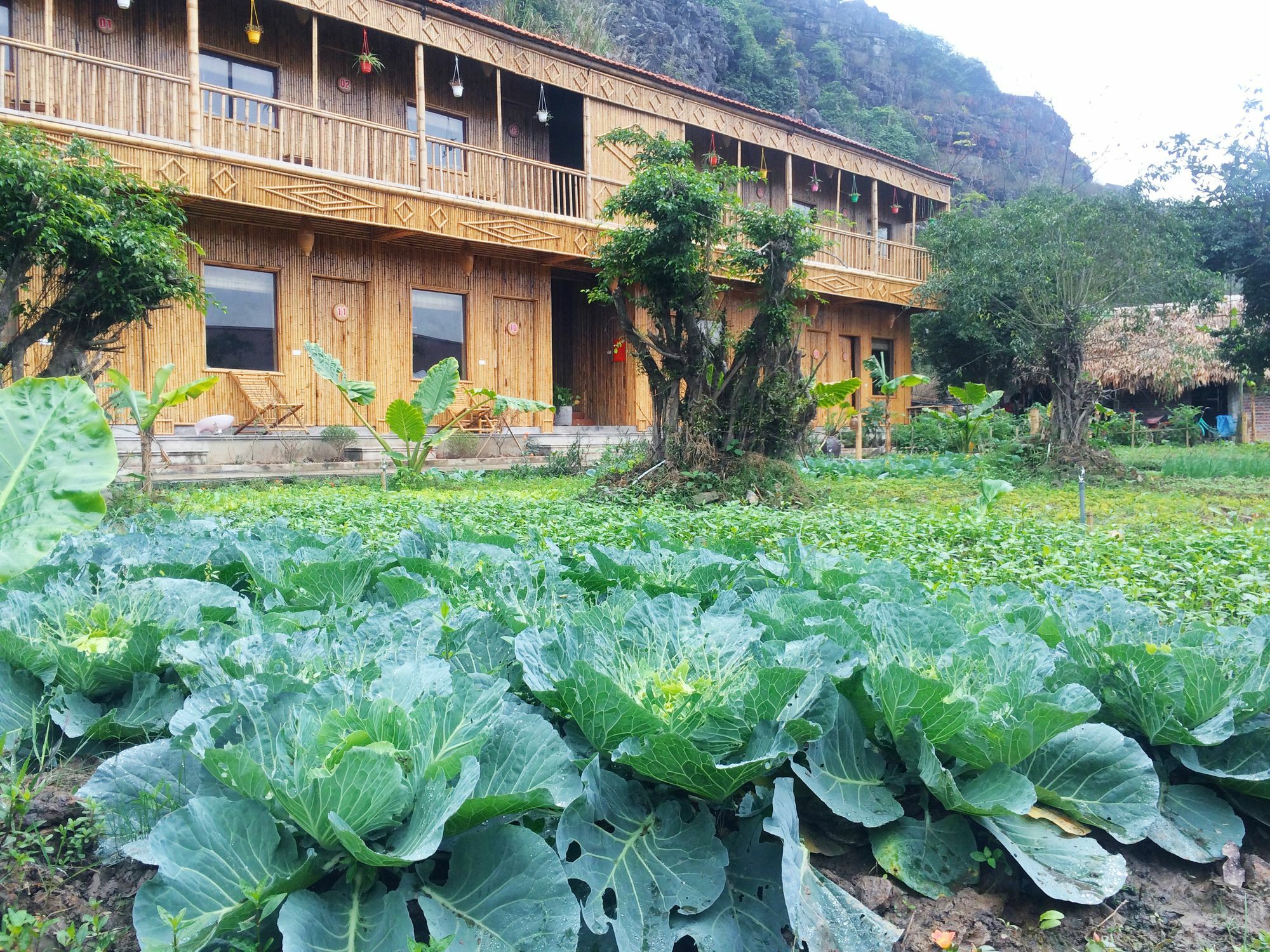 Ham Rong Homestay Ninh Binh Bagian luar foto