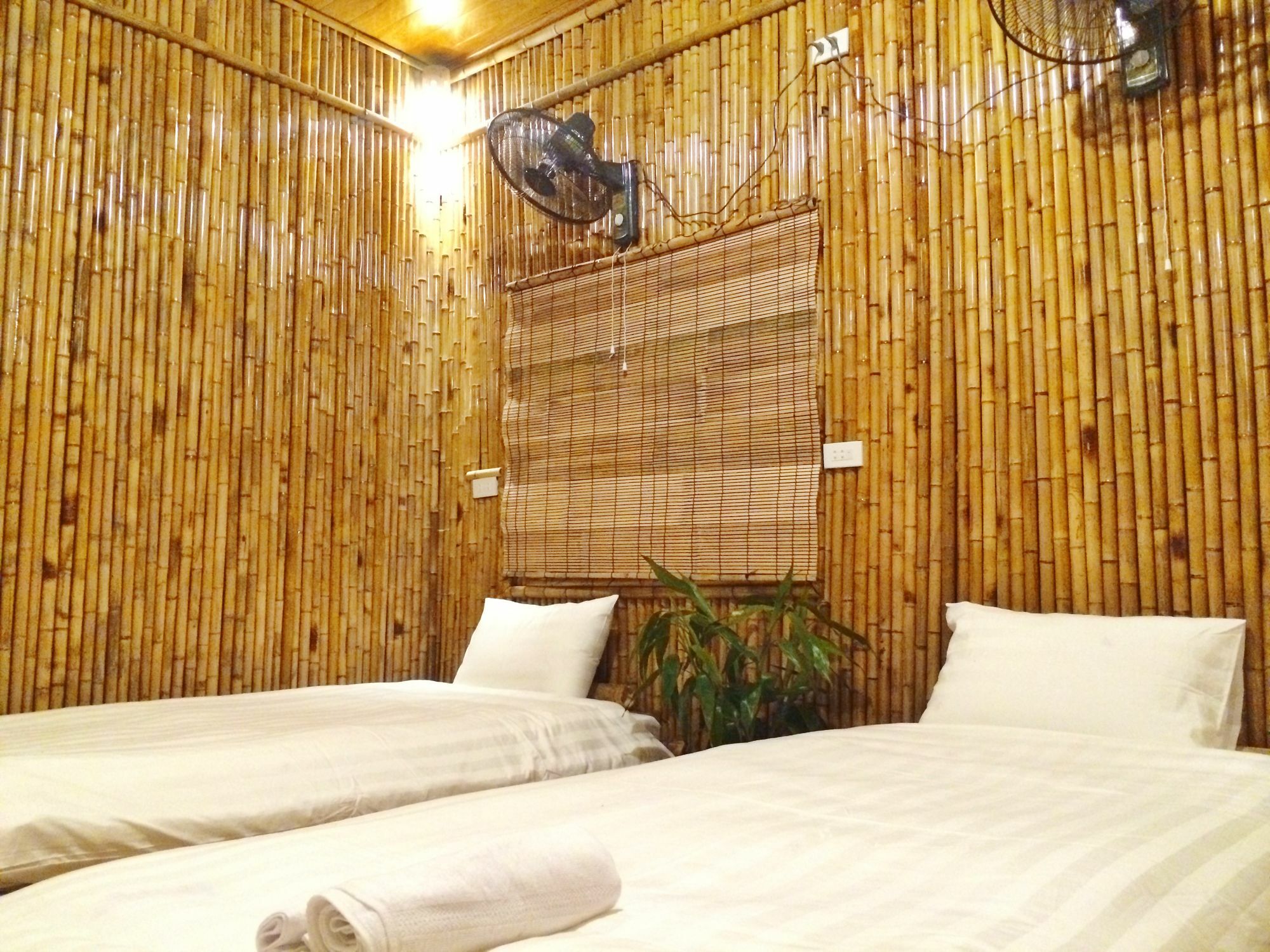 Ham Rong Homestay Ninh Binh Bagian luar foto
