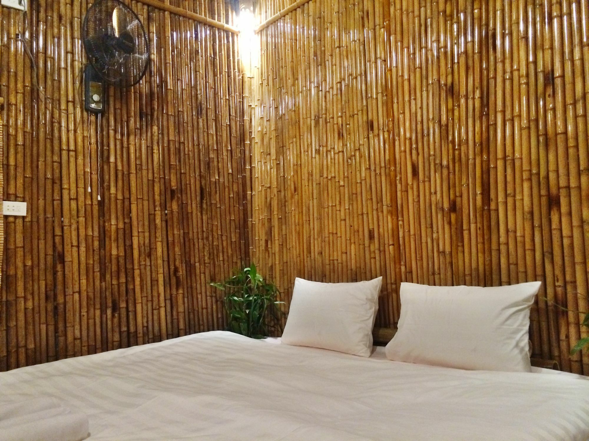 Ham Rong Homestay Ninh Binh Bagian luar foto